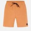 PHANTOM ZUMA II VOLLEY 18" WALKSHORT -Hurley MWS0006960 BENTLEYBROWN 1