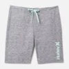 Essential One And Only Boardshort -Hurley hfa22vmb 05196 grey white 1