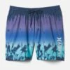 Essential Phantom Punta Arenas Volley Boardshort 17" 1 Essential Phantom Punta Arenas Volley Boardshort 17" -Hurley hfa22vms 05187 navy 1