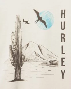 Everyday Explore Lunch Time Dreamin T-Shirt -Hurley mts0033860 bone 3