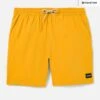 Phantom Naturals II Volley Walkshorts 18"